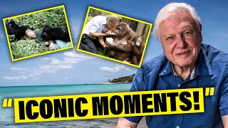 David Attenborough Most iconic moments