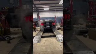 The sound of long tube headers w no cats on a 2019 Mustang GT