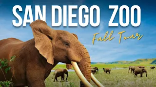 San Diego Zoo Guide: FULL TOUR, Animals, Bus Tour, Shows, Skyfari and More!