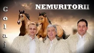 NEMURITORII - COLAJ HITURI 2014 ( VIDO FULL HD SPIROS GALATI)