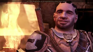 Dragon Age Origrins АНАЛИТИЧЕСКАЯ АНАЛИТИКА Часть 1  -  Услуга Берату .