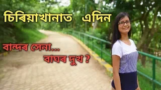 Guwahati ZOO //Assam State Zoo CUM Botanical Garden ||Assamese Vlogs||