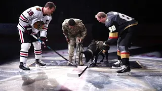 Service Dog Puck Drop On Military Appreciation Knight