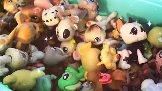 The BIGGEST LPS Haul I’ve Ever Done. 🌸 150 Pets