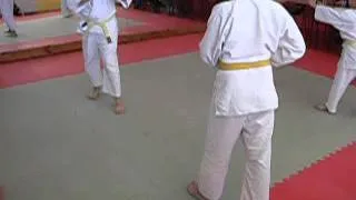 Polaganje za Narandžasti pojas real aikido