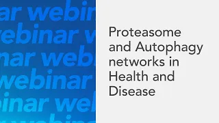 Proteasome and Autophagy networks in Health and Disease, by Prof Ivan Dikic
