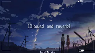 Heartbroken of Bollywood Hindi Lofi(Slowed X Reverb) | Spring Reverb 2023 | Lo-fi sad songs | 1 hour