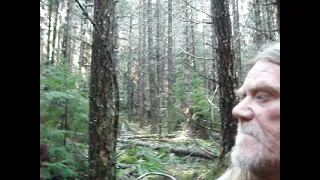 sasquatch tracking