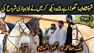 Nawab abbas khan hoti or ghory - Malik atta Muhammad horse Shehanshah - part 2