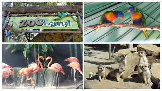 Mini Zoo Land (Slovenske Konjice)