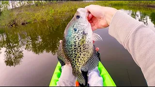 Beautiful Iowa Crappies -Fishing The Crappie Spawn Pt 2