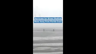 Hurricane Ian Blows Shallow Water Away From Florida Coast #shorts