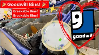 Let’s GO To Goodwill Bins!! Wow! Wow! Lots of Breakable Bins Today! Thrift With Me For Resale!