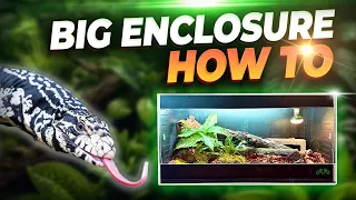 How YOU Can Build an AMZING Reptile Enclosure for NO MONEY | My Tegu Gets a HUGE Upgrade!