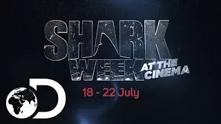 Shark Week at the Cinema | Discovery