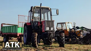 🔥Wielki Powrót🔥Czyli wywóz obornika na łąki 2019⚫GrObiegała w akcji⚫Mtz Belarus 820, Ursus c360⚫