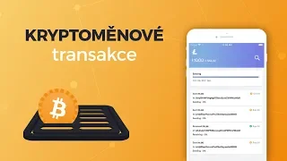 #19 - Kryptoměnové transakce