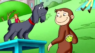 Nicke Nyfiken 🐵 Charlie går i Skolan 🐵 Tecknad Film för Barn 🐵 Helt Avsnitt