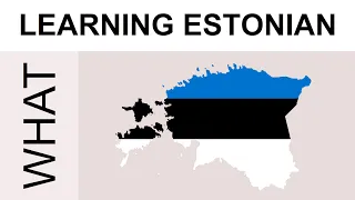 Learning Estonian #18 Questions: what