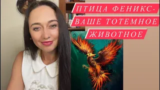 Птица Феникс- ваше тотемное животное#