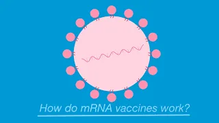 How do the new mRNA vaccines for COVID-19 work?