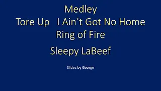 Sleepy LaBeef   Medley (Tore Up, I Ain't Got No Home, Ring of Fire)  karaoke