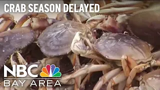 California regulators delay start to Dungeness crab season