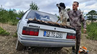 2022-2023 ordu kaz dağları çulluk avı part 1 #beccaccia #woodcock #вальдшнеп μπεκάτσα hunting