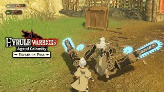 Obtain 4 Wildberries - Age of Calamity DLC EX Liberate The Ancient Lab (Memory Quests)