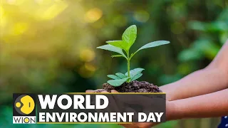 World Environment Day: Impact of climate change all around us | World English News | WION