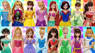 Play Doh Disney Princess Costumes Elsa Anna Rapunzel Belle Ariel Cinderella Aurora Dress