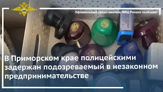 Ирина Волк: В Приморском крае полицейскими задержан подозреваемый в незаконном предпринимательстве