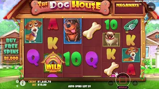 BONUS HUNTING 100x SPINS AT R10! - THE DOG HOUSE MEGAWAYS