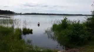 Коровий хребет, оз. Сосенское. 29.06.2014.