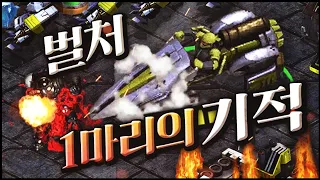 죽을땐 죽더라도 발악 한번쯤은 괜찮잖아?