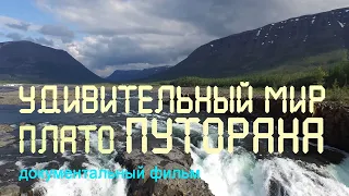 Сибирь. Плато Путорана. Каньоны и водопады. Nature of Russia.