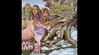 Black Oak Arkansas  Happy Hooker