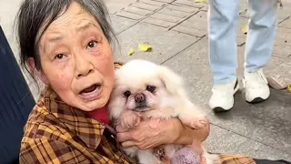 We encountered an elderly woman crying while holding a dog on the roadside!