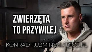 Konrad Kuźmiński / dioz.pl - Zwierzęta to przywilej