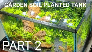 Planted aquarium without Aqua soil Part - 2 / Garden soil planted tank / plantation / 15 day update