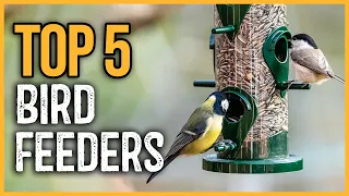 Best Bird Feeders 2023 | Top 5 Squirrel Proof Bird Feeders Review