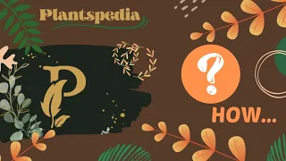 why do deciduous trees shed their leaves? - ❓HOW... #5 #tree @plantspedia_