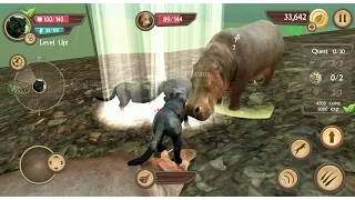 Wild Panther Sim 3D Android Gameplay #5
