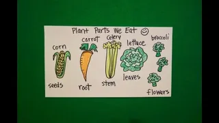 Let's Draw Parts of Plants we Eat!