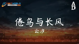 倦鳥與長風 - 雲汐『倦鳥歸山林 長風向日暮 你是夢的花盛開在沿途 我從未停下腳步』【高音質/動態歌詞/Pinyin Lyrics】