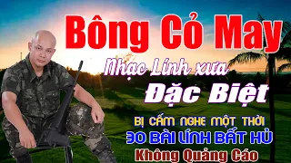 Bông Cỏ May, Gió Về Miền Xuôi - Công Tuấn .Liên Khúc Rumba Hải Ngoại Vượt Thời Gian, Đắm Say Thế Hệ