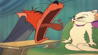 Tom and Jerry - Episode 1 - Casanova Cat (1951)