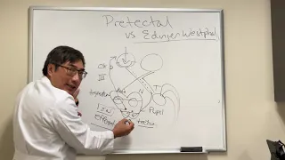 Pretectal vs Edinger Westphal nucleus