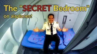 Where do PILOTS+FLIGHT ATTENDANTS sleep on PLANES?Explained by CAPTAIN JOE