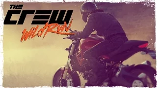 The Crew: Wild Run [BETA]. Первый взгляд. От Лас-Вегаса до Майами.